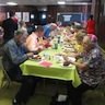 Photo of parishioners socializing during the parish picnic