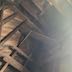 Photo from inside the church bell tower